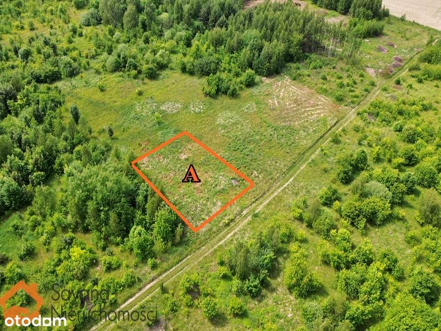 Działka budowlana - Brzezie k. Sulechowa - MPZP - NOWE OSIEDLE ! - Pełny obrazek: 5/7