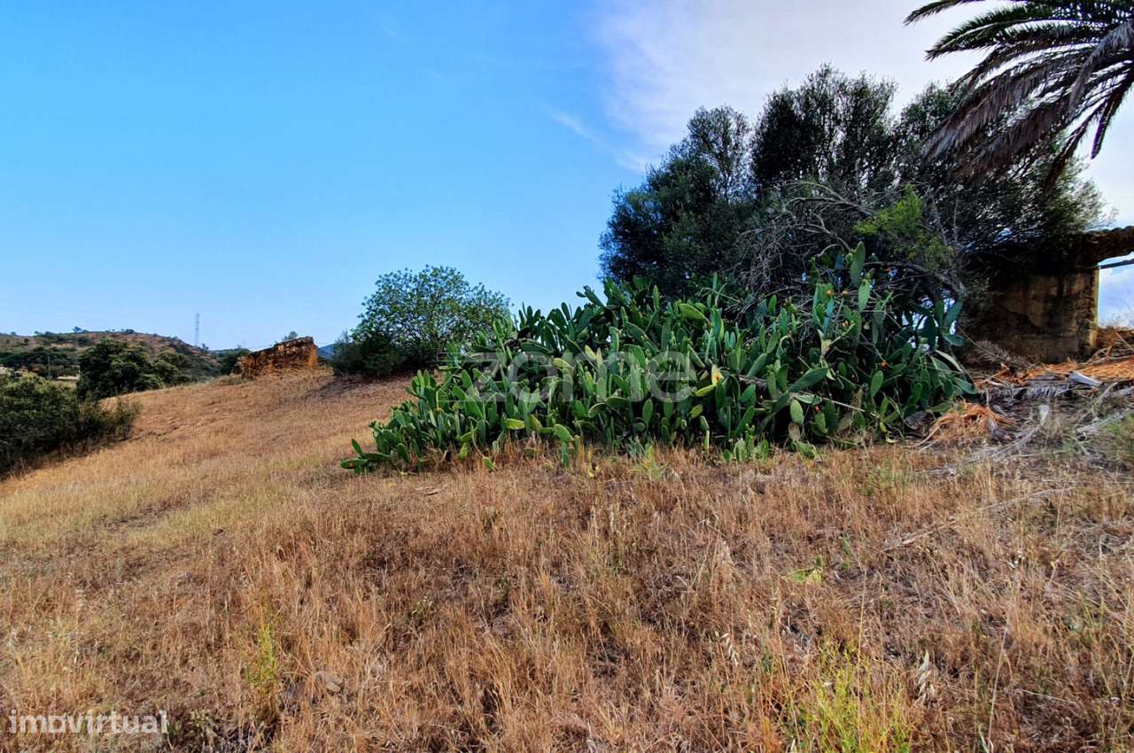 Excelente Terreno com 3 Ruínas para Reconstruir - Grande imagem: 3/21