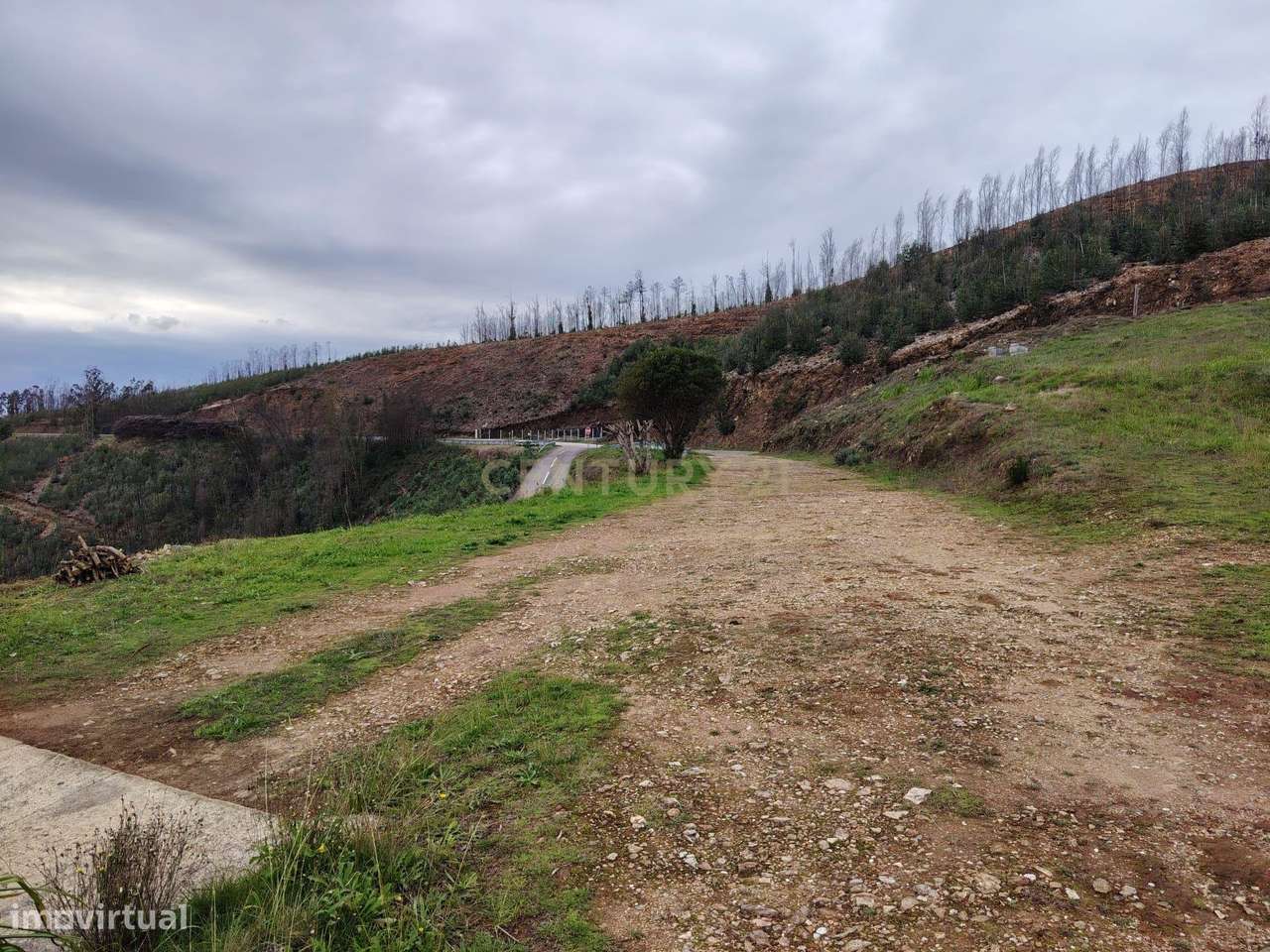 Moradia com terreno em Sever do Vouga – O equilíbrio perfeito entre co-6