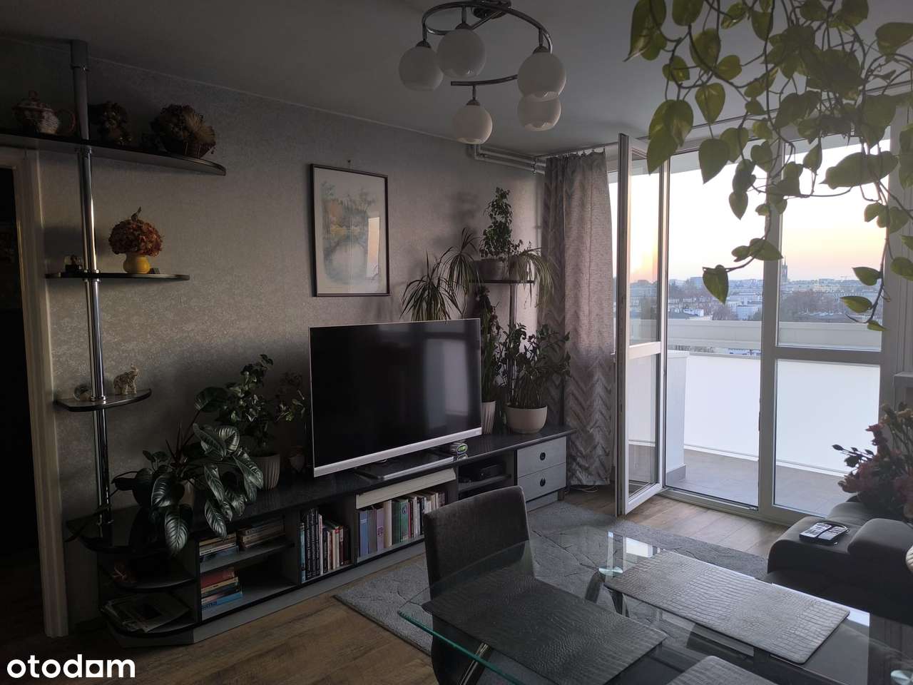 Sprzedam bezpośrednio mieszanie na Żoliborzu