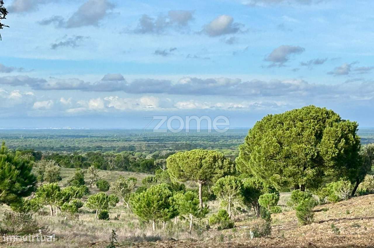 Terreno Rústico com 18 Hectares - Grande imagem: 4/22