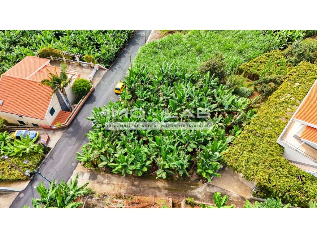 Terreno com 430m2 - Ponta do Sol-15