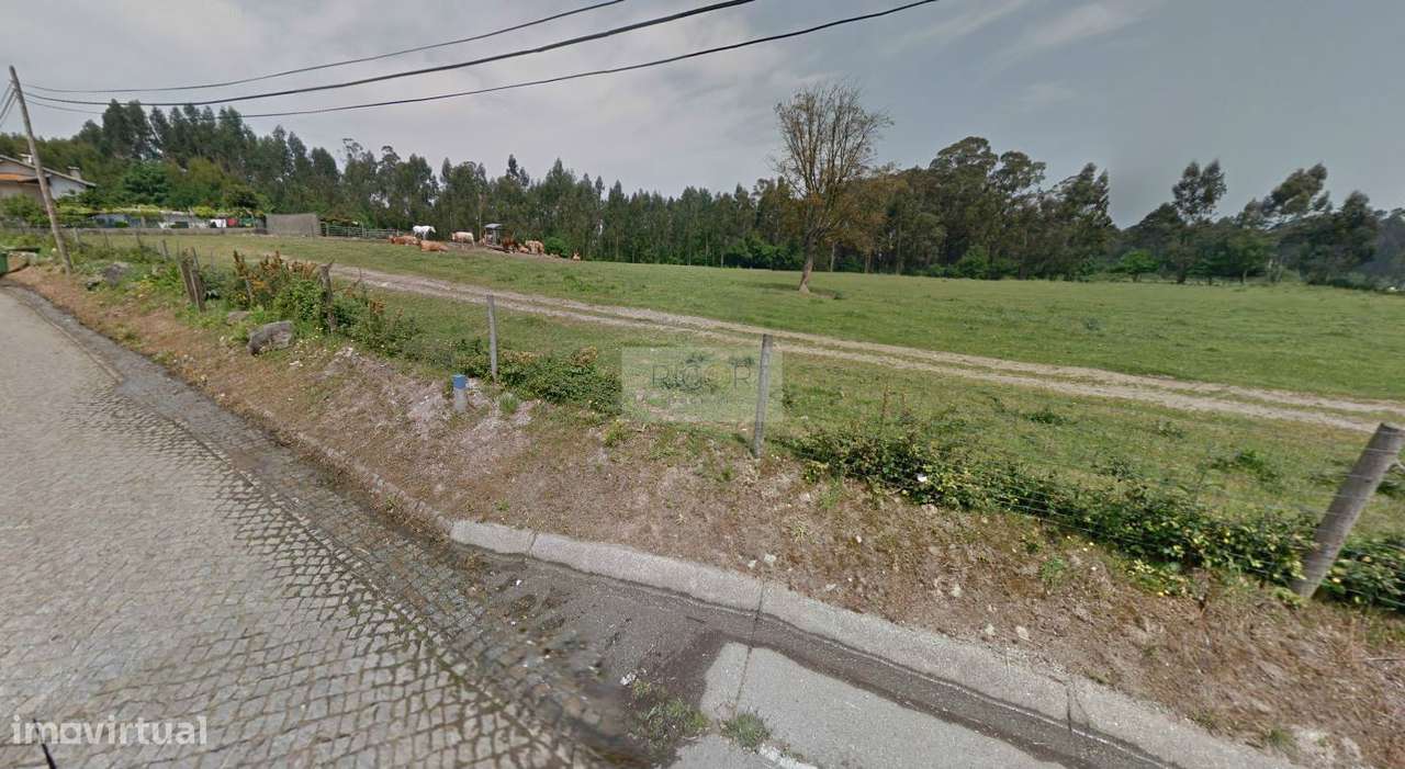 Terreno de 59.000m2 para construção à BIAL - Grande imagem: 4/8