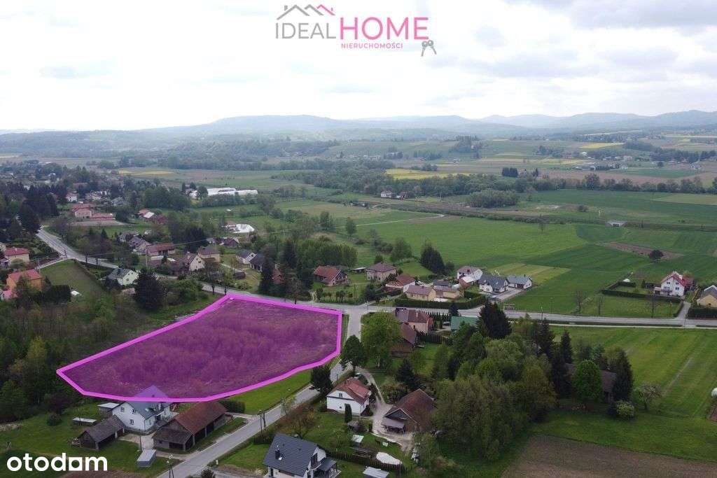 Działka inwestycyjna w Dobrzechowie - Pełny obrazek: 3/8