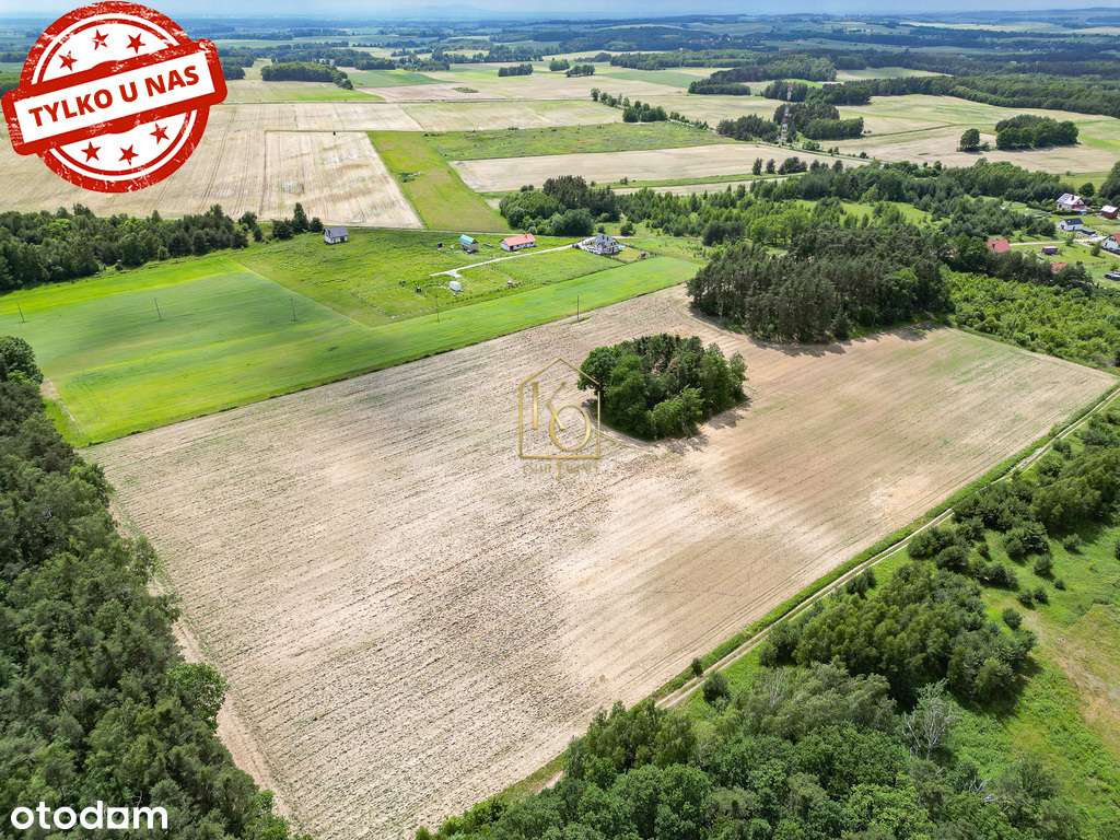 działka bud.Niedary/1000m2/2000m2 i więcej - Pełny obrazek: 4/8