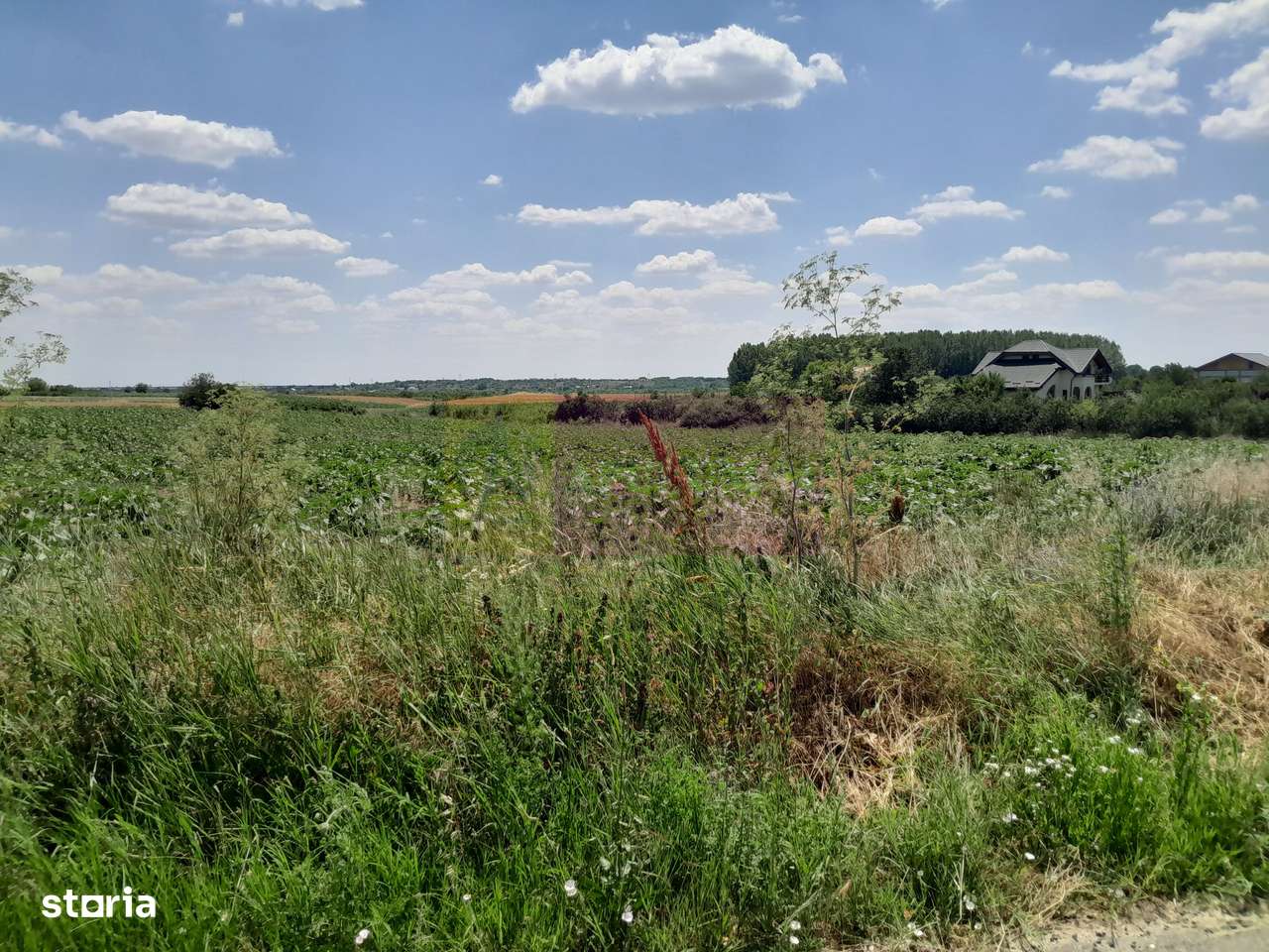 TEISORI /GR - 2 LOTURI LIPITE (TOT. 16500 MP) DE VZ 100K EUR NEG - Imagine principală: 4/11