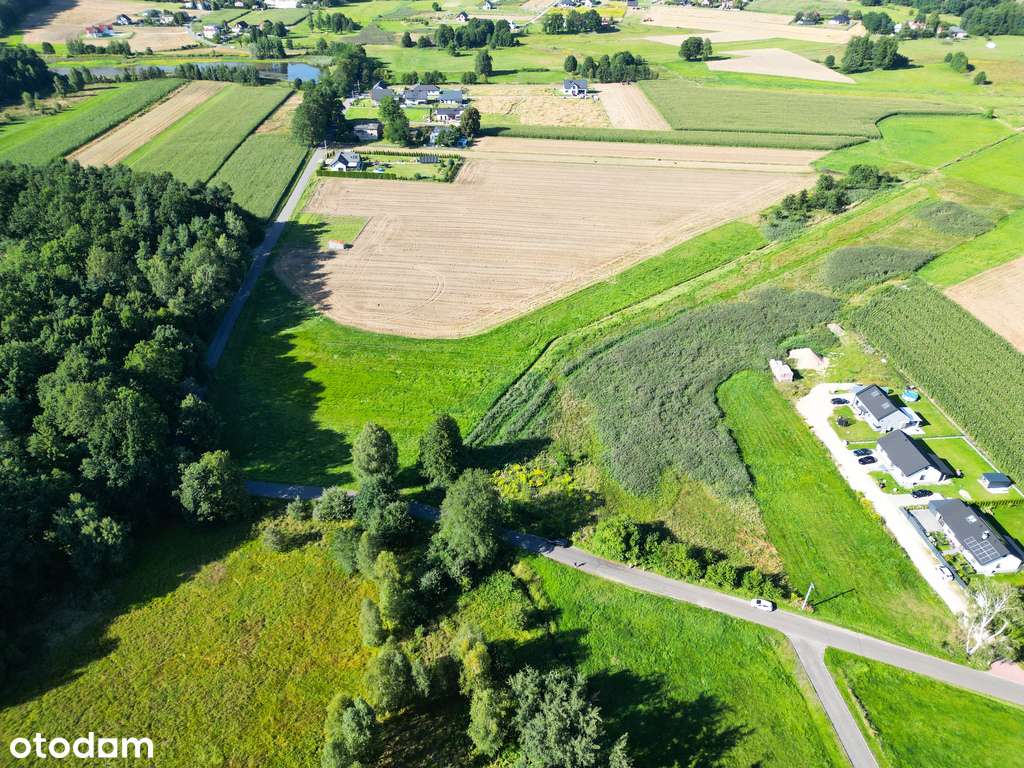 Pasieki, las, media i asfalt - idealne !-10