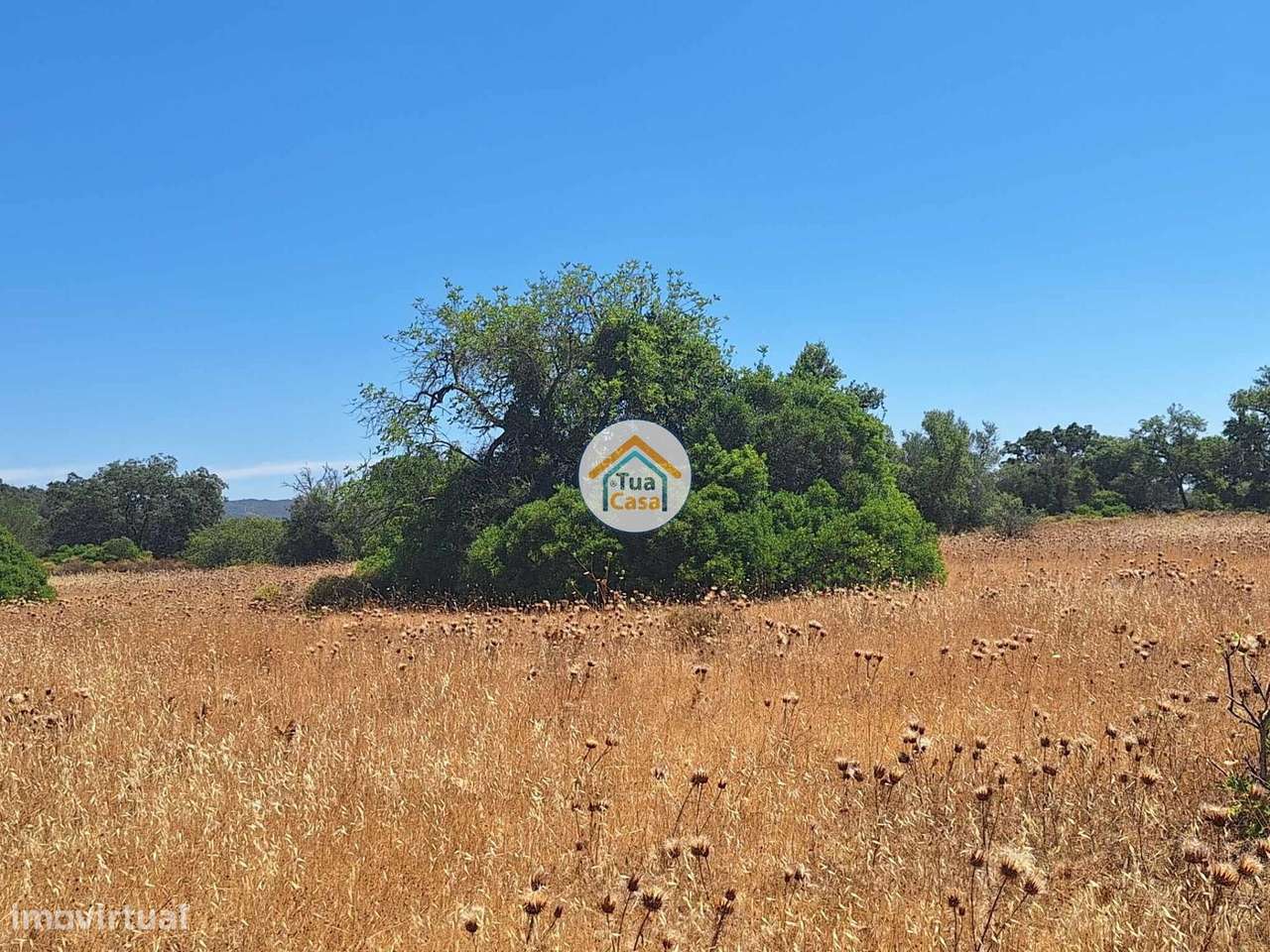 Terreno Rústico nos Arredores de São Brás de Alportel - Grande imagem: 4/15