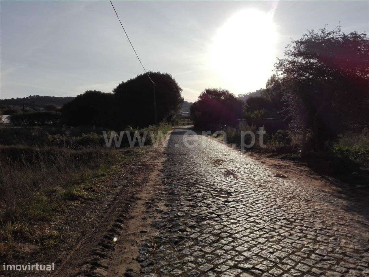 Terreno agrícola, Belinho, Esposende - Grande imagem: 4/6