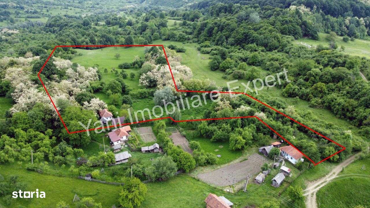 Teren de vânzare în comuna Tigveni, sat Blaju ( 34.600 mp ) - Imagine principală: 2/13