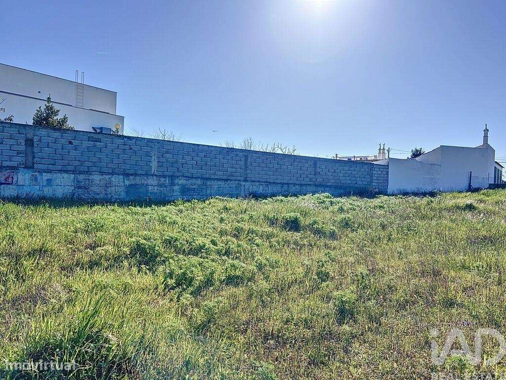 Terreno para construção em Montenegro de 672,00 m2 - Grande imagem: 2/16