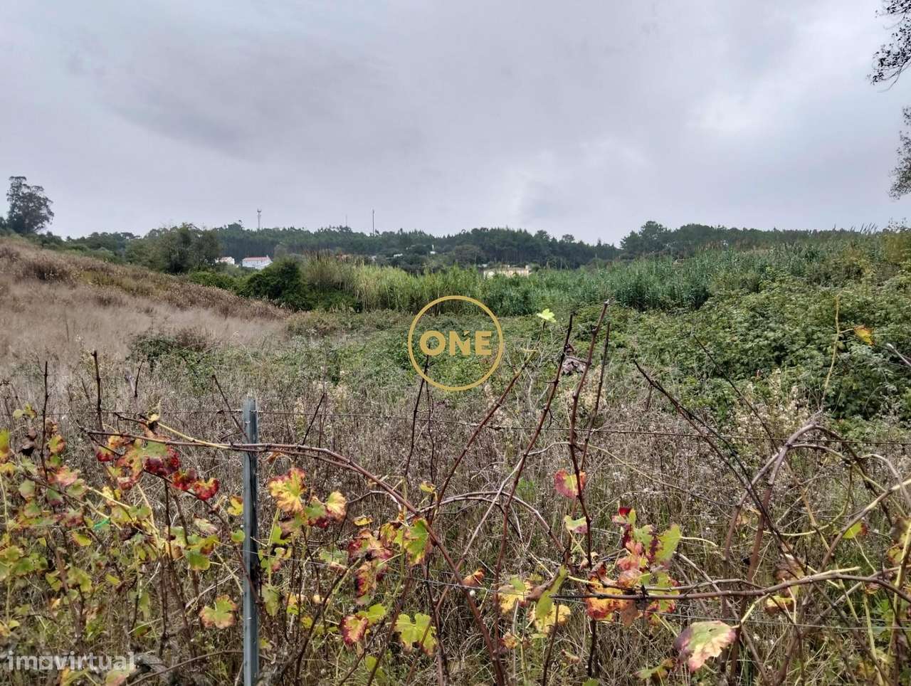 Terreno Rústico com 3312 m2 - Sobral da Abelheira e Azueira-6