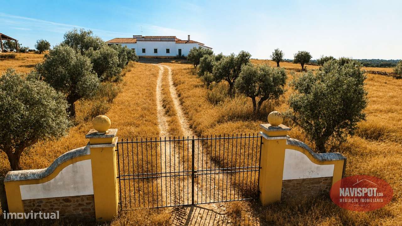 Herdade com 750 hectares no Alentejo-43