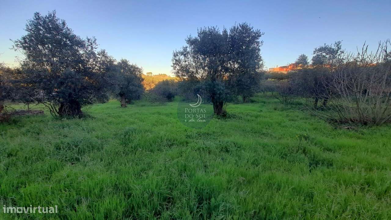 Moradia p/ Recuperar em 7.480 m2 de Terreno.-2