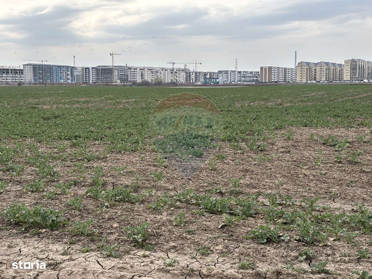 Teren 12.651 mp lângă Metrou Berceni | Perfect Dezvoltare Rezidențială-11