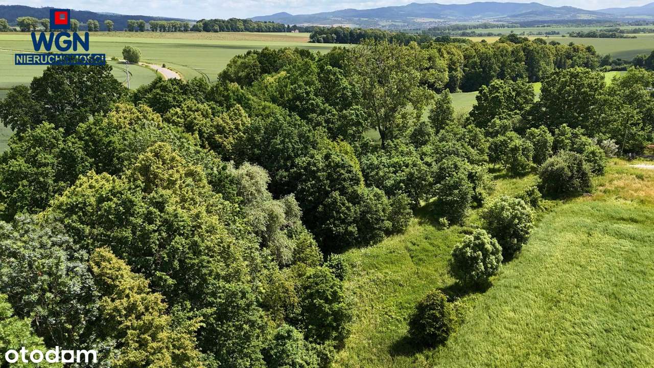 Polanica-Zdrój okolice, działka budowlana na sprzedaż.-5