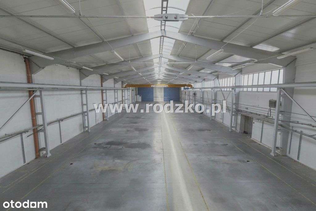 Hala/Magazyn, 2 228 m², Bydgoszcz - Pełny obrazek: 4/15