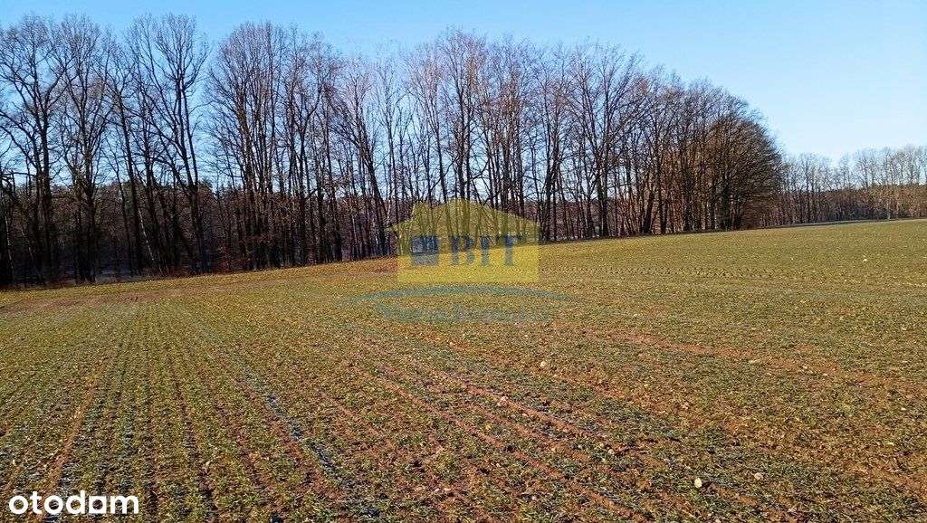 Działka 6066 m2, z dostępem do jeziora Kaleńsko-3