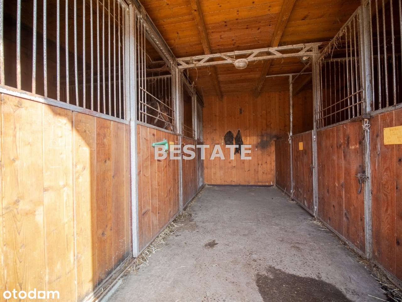 Ośrodek na sprzedaż, Pleśna-12