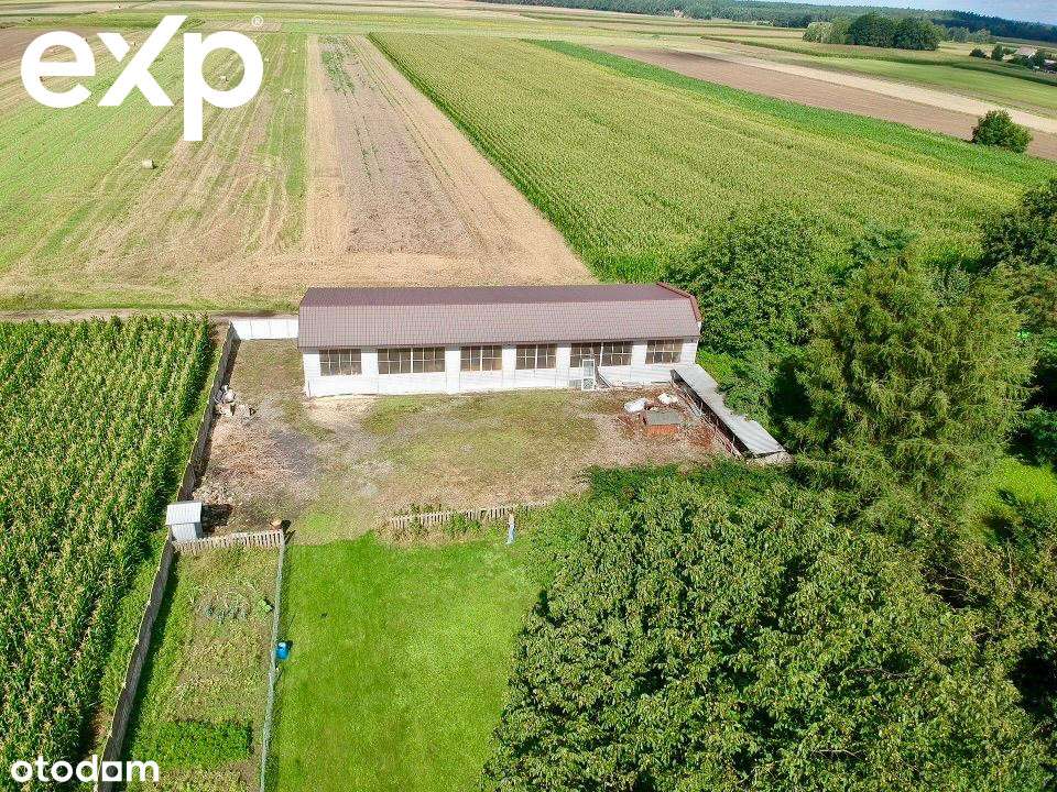 Solidna Hala Magazynowo - Produkcyjna na Sprzedaż - Pełny obrazek: 5/17