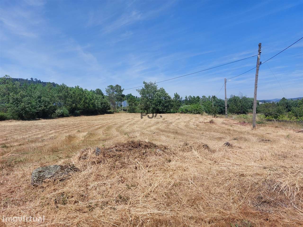 Terreno Rústico em Fornos de Algodres - Grande imagem: 3/11