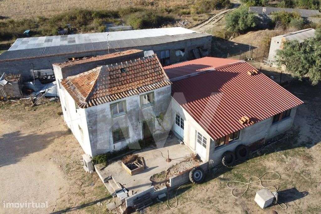 Herdade com cerca de 50ha em zona de Regadio do Ladoeiro Idanha a Nova - Grande imagem: 4/60