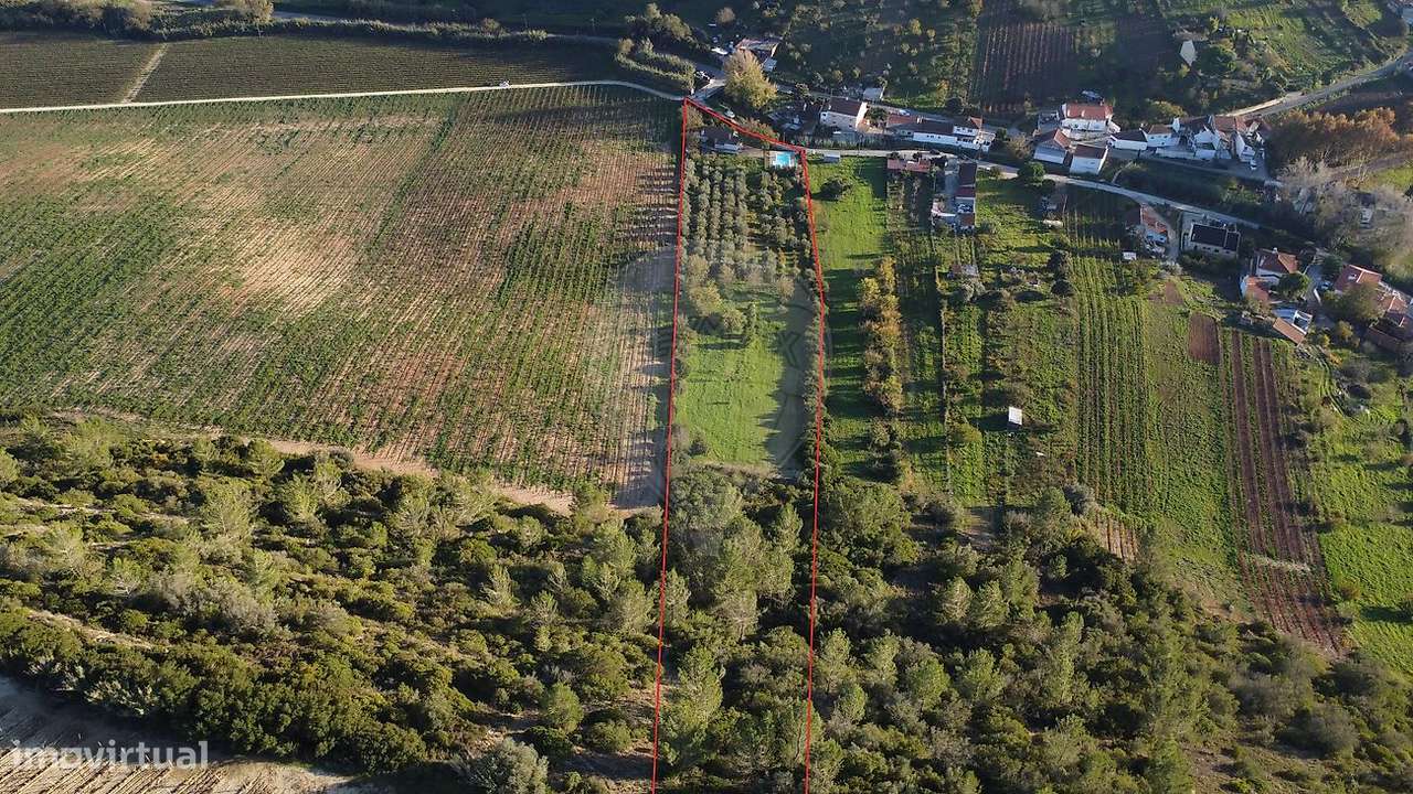 Quinta T3 para venda - Grande imagem: 4/30