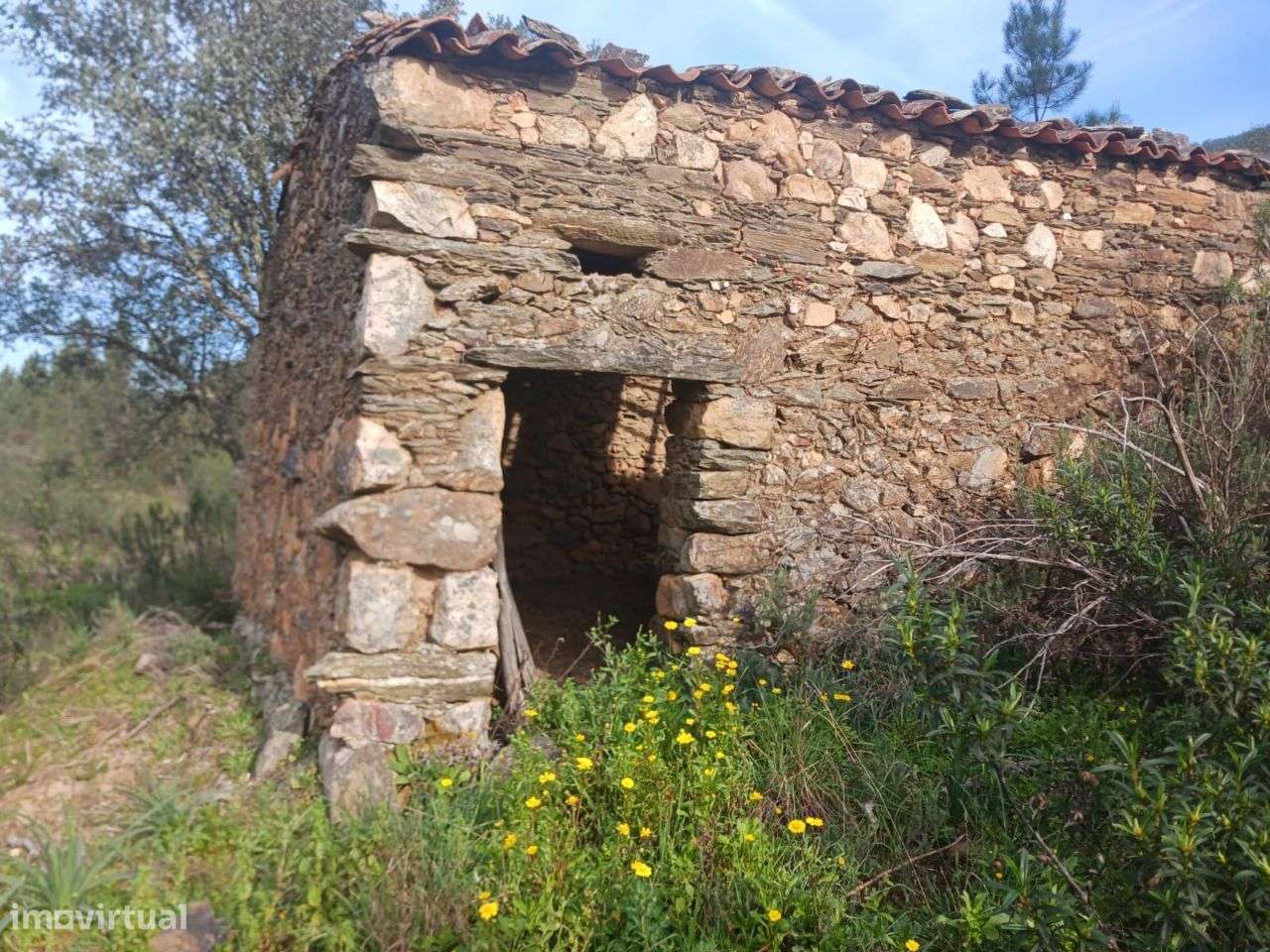 Terreno - Grande imagem: 2/6