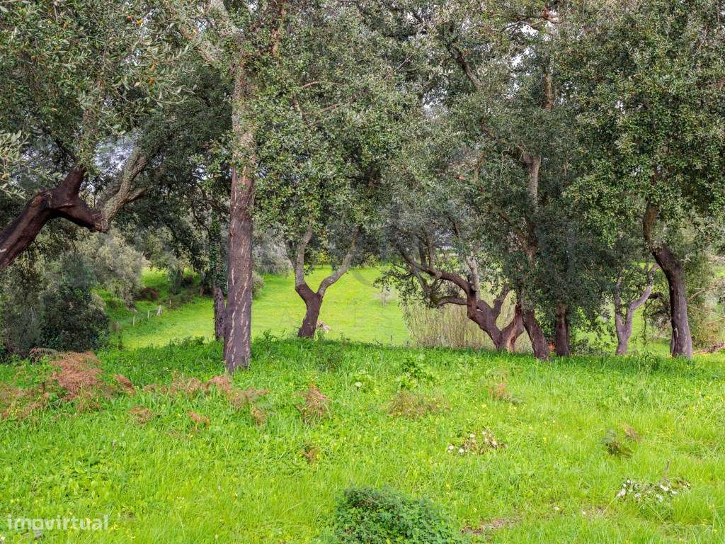 'Casa do Bosque': Terreno Urbano de 1 Hectare em Azeitão - Onde o L...-23