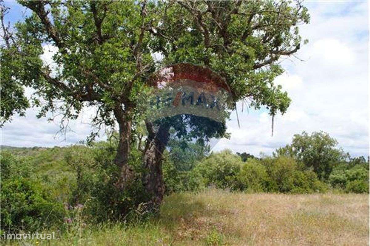 Terreno T0 para venda - Grande imagem: 5/12