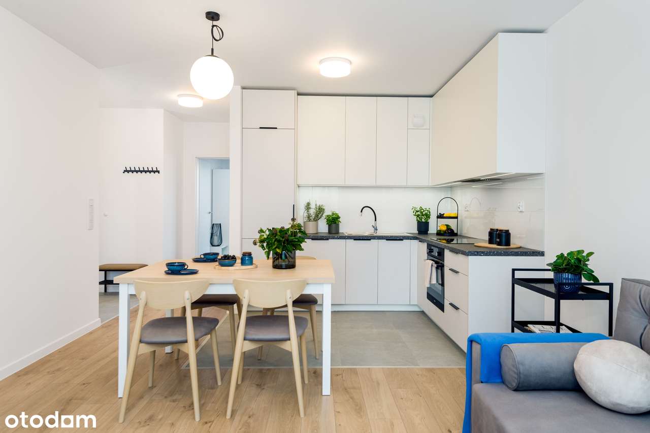 Comiesięczne dopłaty do czynszu | Pierwszy najemca | Zwierzolubne - Pełny obrazek: 2/14