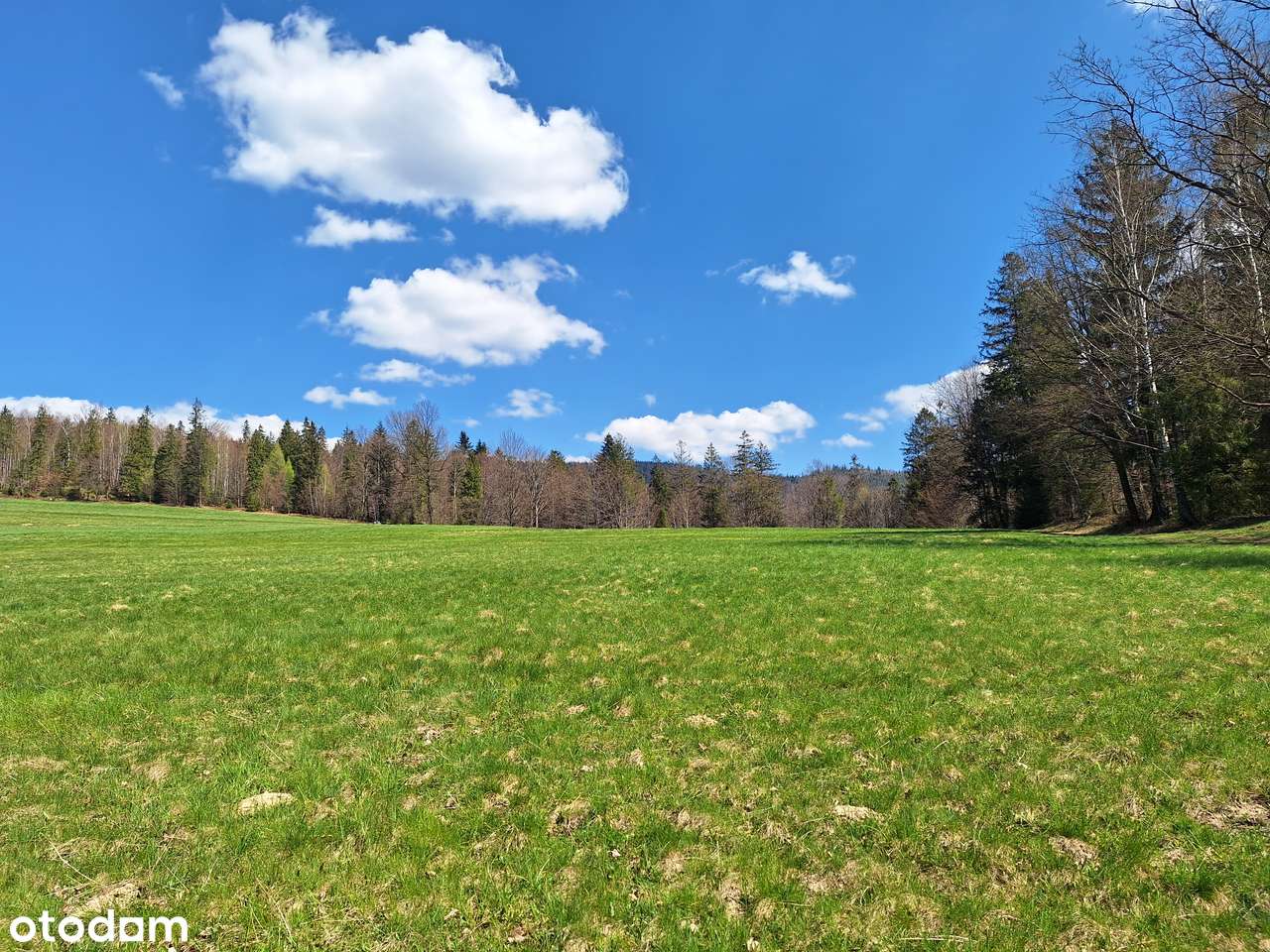 cisza, góry i las...-5