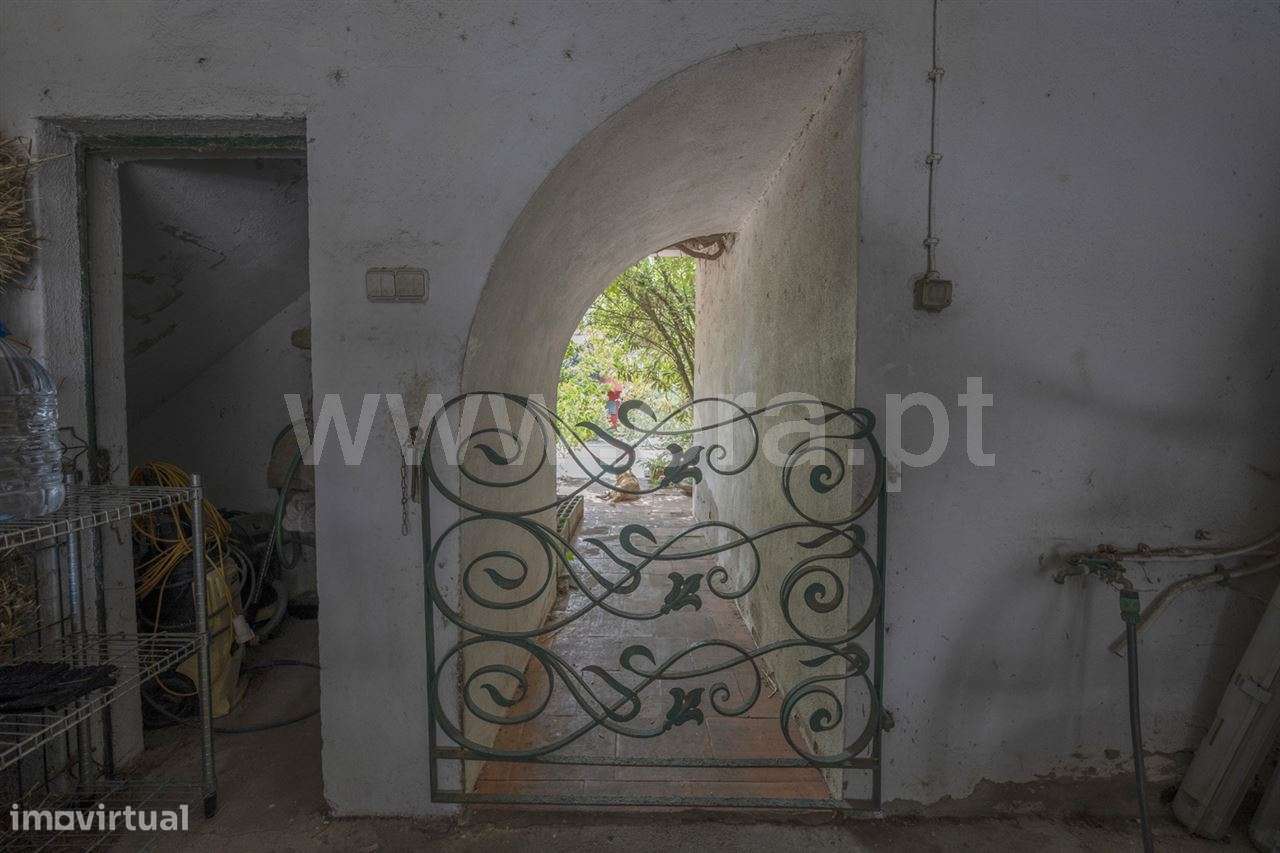 Magnifica Quinta T7; Verdizela-24