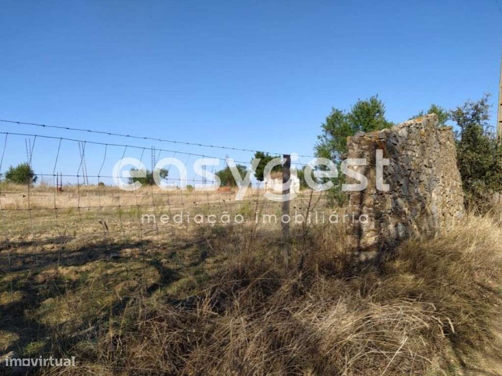 Monte em Ruinas com 2,6 hectares às portas de Reguengos de Monsaraz - Grande imagem: 4/14