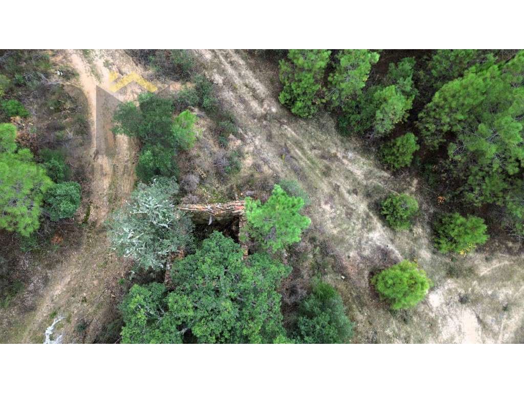 Quinta com 18.000m2 para venda em Freixial do Campo! - Grande imagem: 5/16