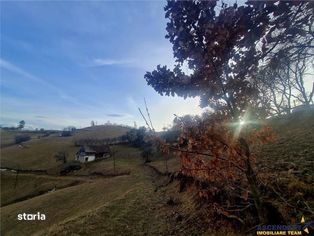 Oaza de liniste si frumusete, reconectare cu natura, 16.000 mp, Poiana