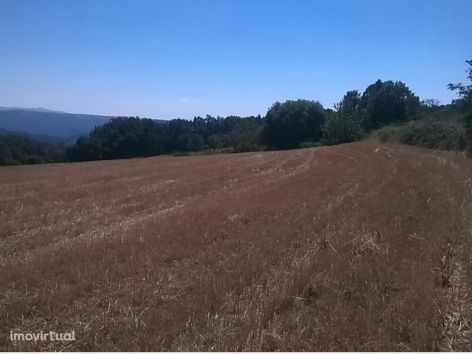 Terreno  Venda em Vilar de Ossos,Vinhais