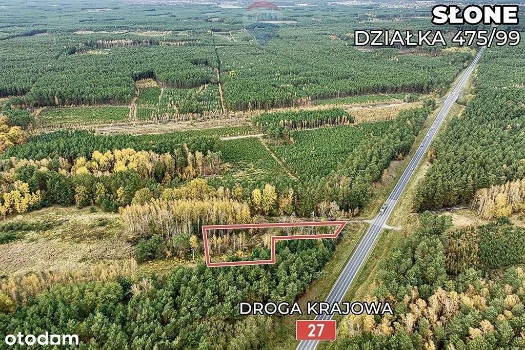 Na sprzedaż działka przy drodze nr 27 z Mpzg! - Pełny obrazek: 5/17