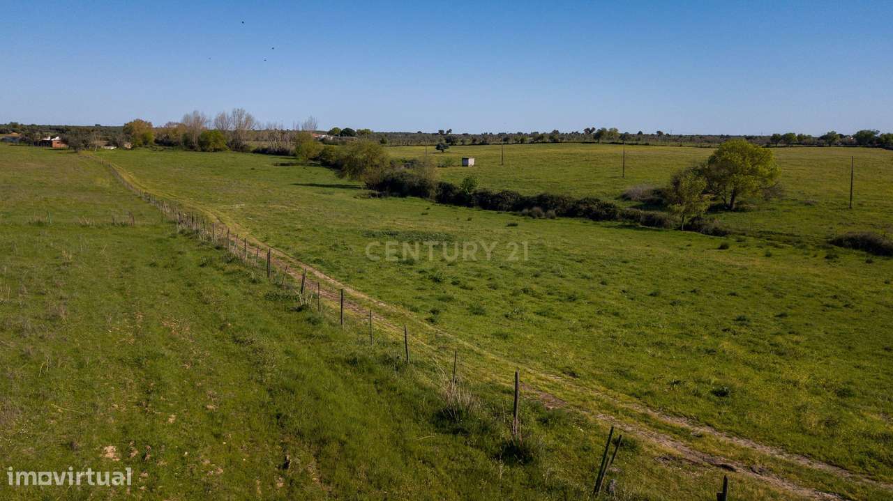 Terreno em Mourão - Alentejo-5