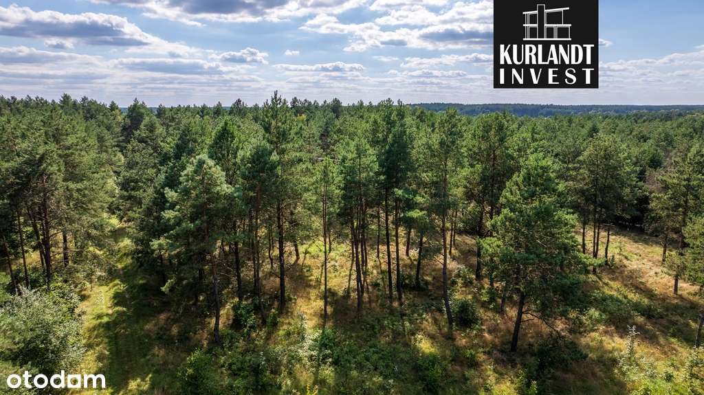 Działki budowlane w lesie-7