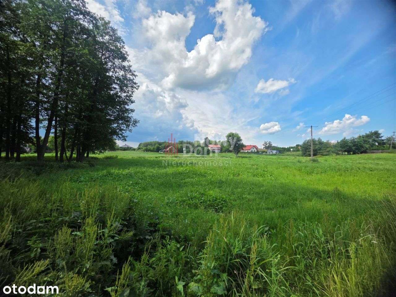 Działki Kożuchy Wielkie Z Lasem!-7
