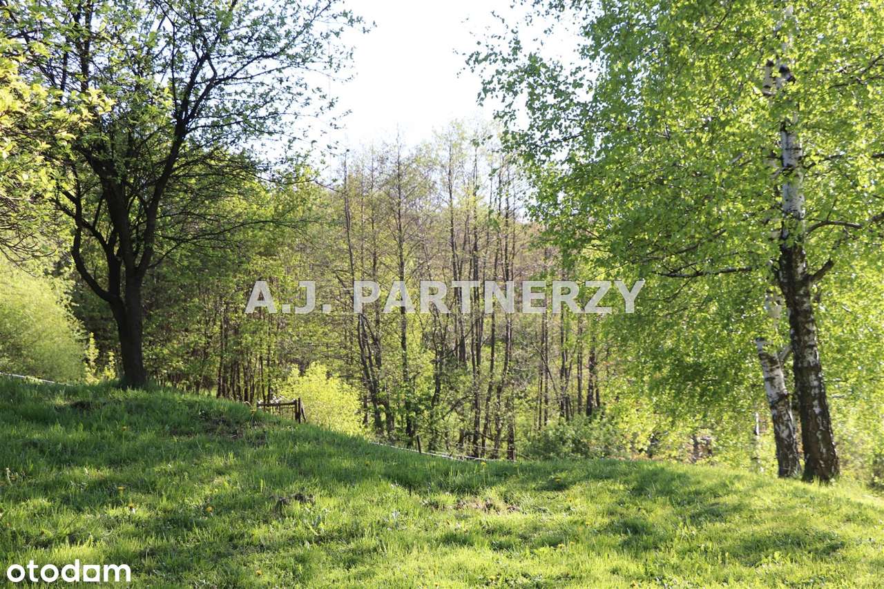 Widokowa działka w Lednicy k.Wieliczki-1