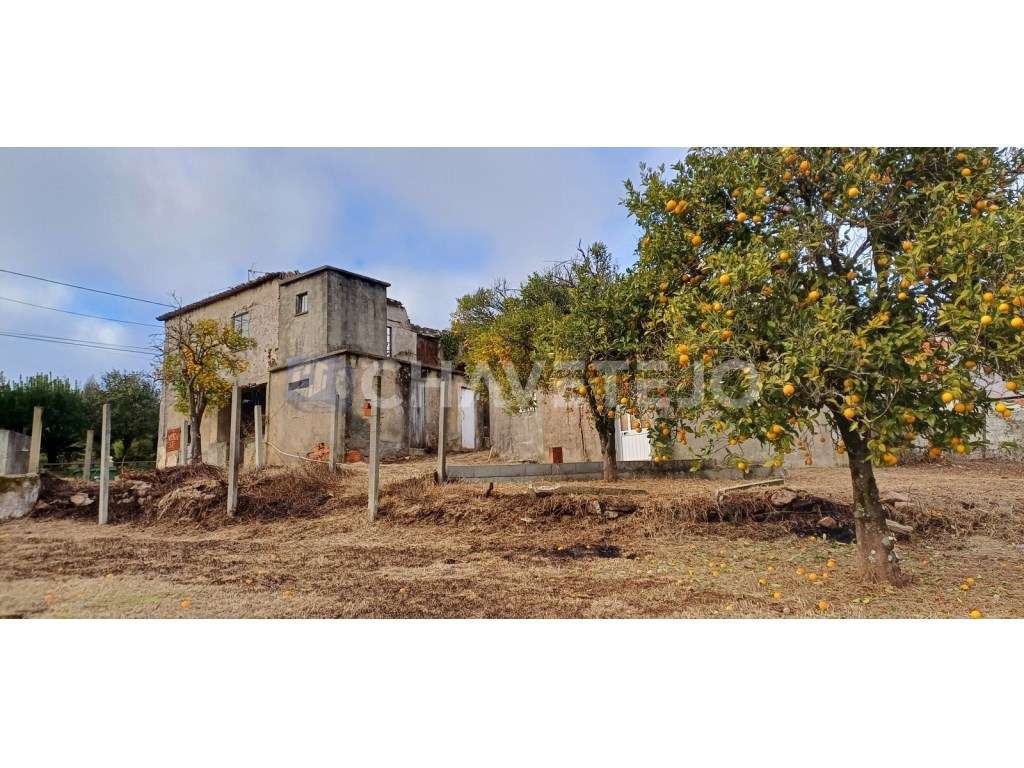 Casa Antiga Com Arrecadação e Terreno Para Recuperar, Cernache do B...-33