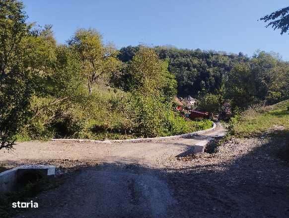 Vand teren, 5000 MP, Pret 13-14€/MP. Com.VALISOARA,Jud. HUNEDOARA - Imagine principală: 5/5