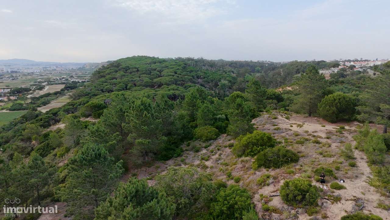 Terreno Rústico com Vista Mar e Potencial Ecológico-24