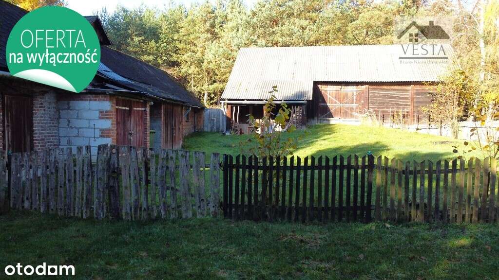 Dom drewniany w malowniczej okolicy, Rogalów - Pełny obrazek: 5/19