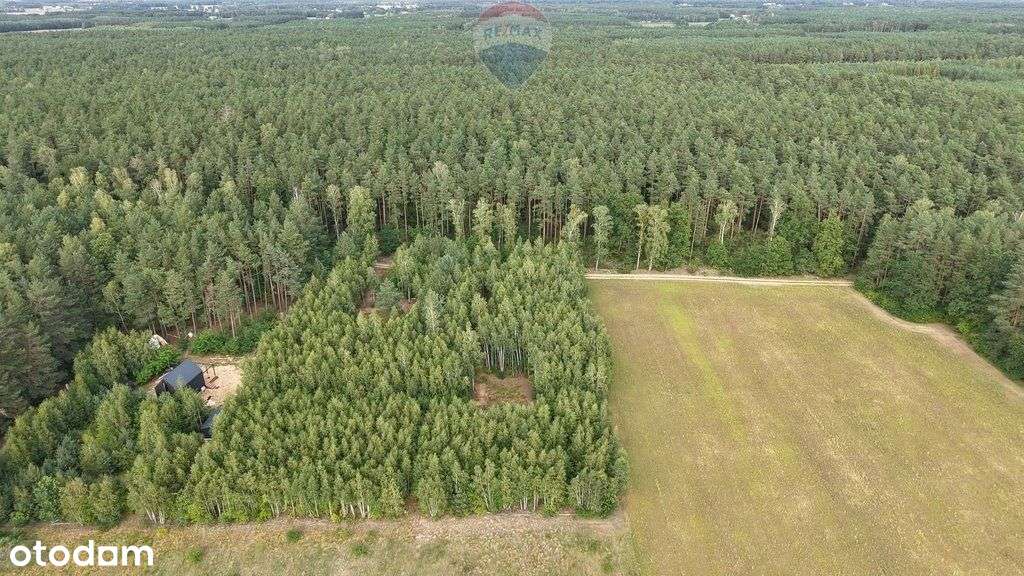 Działka na sprzedaż 3179 m², gmina Rypin - Pełny obrazek: 4/5