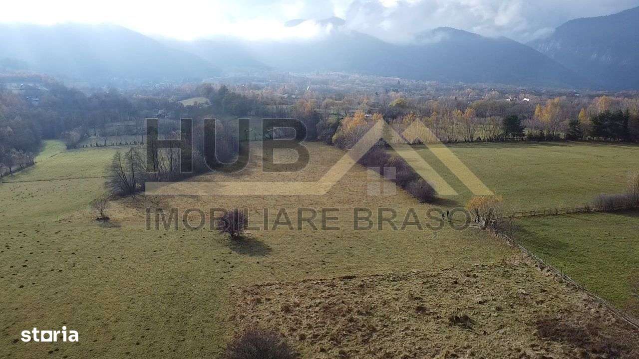 Teren Zarnesti | Tohanita | Intravilan | PUZ aprobat | Fara Utilitati-5