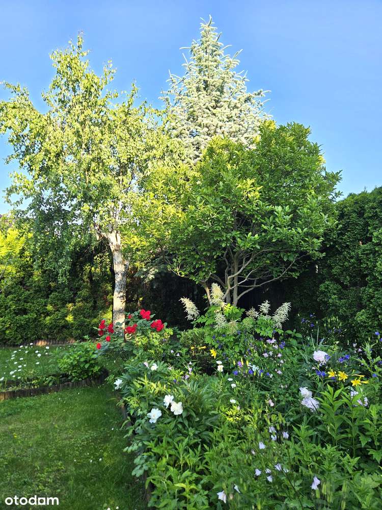 Dom z podwójnym garażem i z dużym ogrodem - Pełny obrazek: 4/20