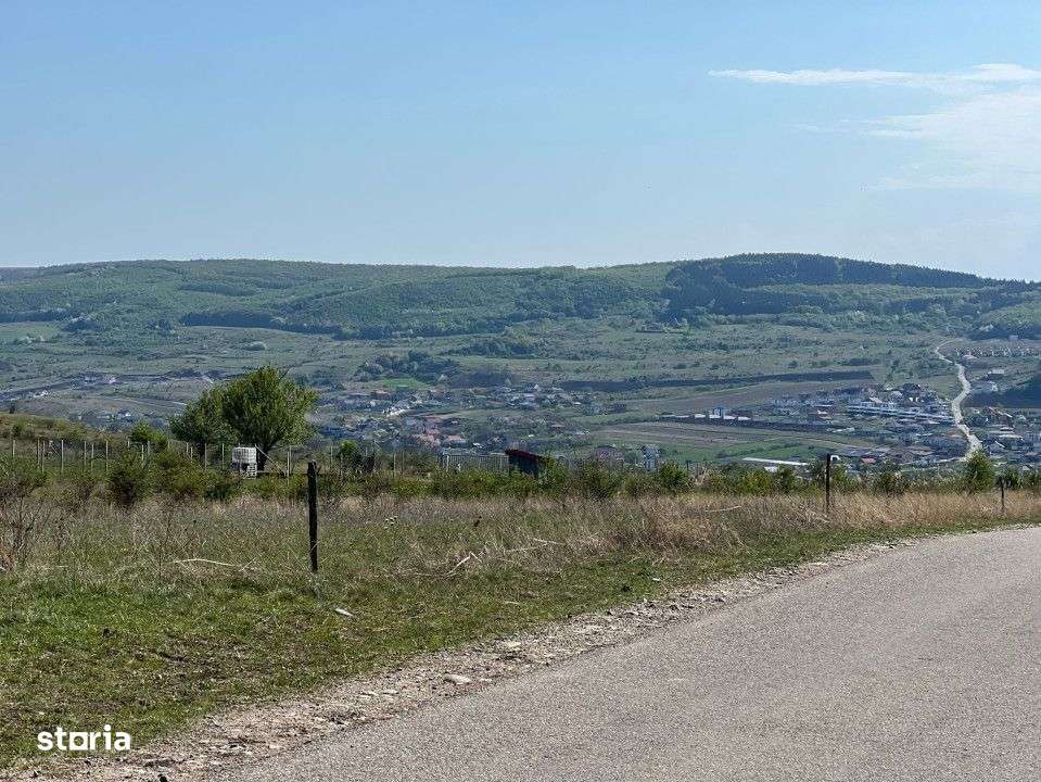 Teren extravilan de vanzare, 5800 mp, zona Chinteni - Imagine principală: 2/2